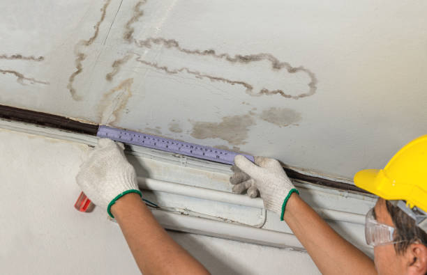 Reliable Water Damage contractor in Old Lyme, CT by Water Damage Irwin